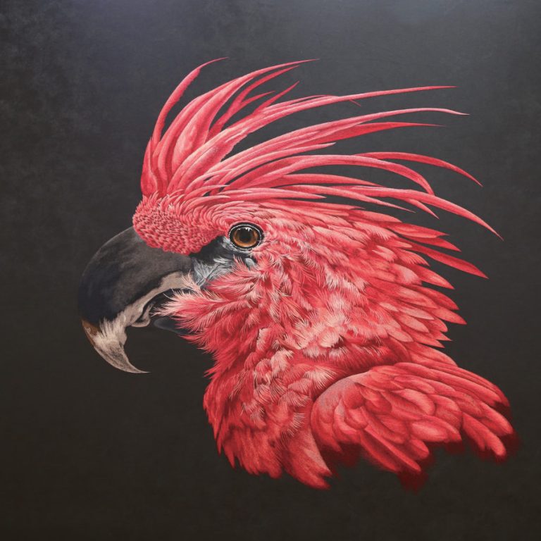 ماكينة وونيو تطريز عن طريق الكمبيوتر رأس واحد مساحة *600*400 ، 9 ابر